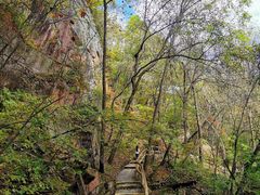 -五女峰国家森林公园