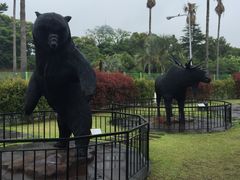 -信不信由你博物馆