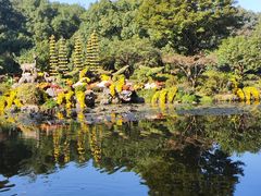 -杭州植物园