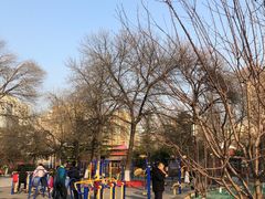 -丰台花园