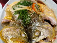 清蒸黄花鱼-抱德·潮汕味(敦和店原惠城鱼仔)