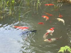 -雅达·阳羡溪山小镇中心