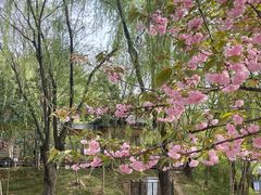 -西安市长乐公园