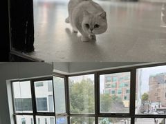 -M.S拳击泰拳馆(大学路店)