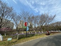 -白塘生态植物园