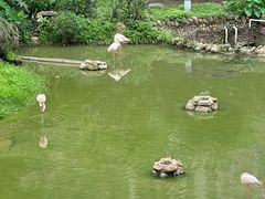 -石排湾郊野公园