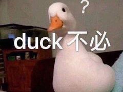 -肇兴特色牛肉粉