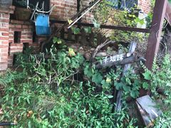 -小仙居·农家宴烤羊· 农庄