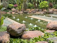 -南宁荔园维景国际酒店·荔园中餐厅