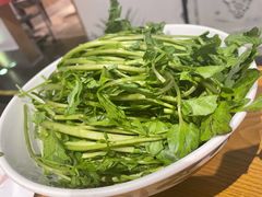 潮汕西洋菜-汕头八合里海记牛肉店(清河店)