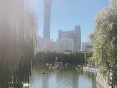 -团结湖公园