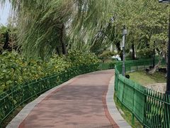 -金银湖国家城市湿地公园