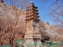 -北京凤凰岭