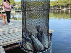 -新怡路亚垂钓园