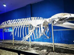 -福州罗源湾海洋世界旅游区