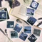 画个梦给你💞
