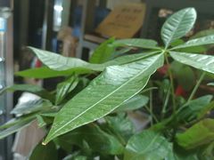 -湘当爱·鲜煮现炒(松岗立业路店)