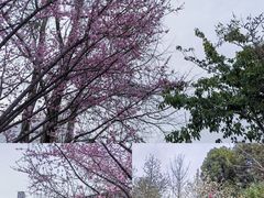 -成都市文化公园