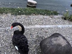 -同济大学(嘉定校区)