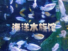 -上海海洋水族馆