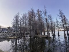 -大理洱海