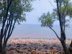 -上海吴淞炮台湾国家湿地公园