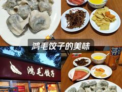 -鸿毛饺子(紫竹桥店)