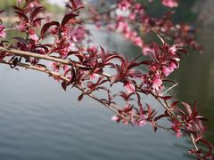 -绍兴东湖风景区