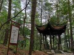 -四明山国家森林公园