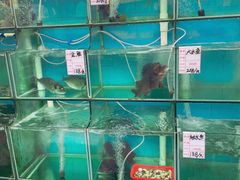 -祈胜邨•顺德鱼生•顺德菜(容桂店)