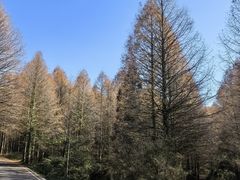 -山王坪喀斯特国家生态公园