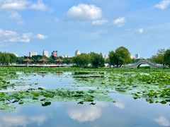 -长春市南湖公园