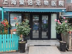 -爱侣宠医·鹦鹉专科·小型哺乳类·异宠专科(灵石路店)