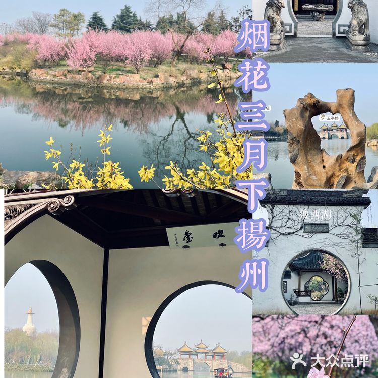 扬州瘦西湖最佳摄影机位看这里❗️❗️