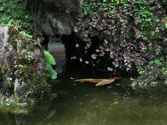 -成都杜甫草堂博物馆