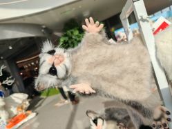 -IMON·HANSA潮玩玩偶毛绒玩具(通州万象汇店)