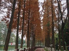 -蜀绣公园