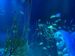 -沈阳海洋探索中心