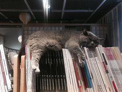 -小时光咖啡馆(开森度假森林店)