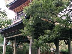 -雨湖公园