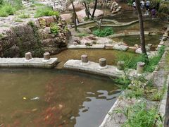 -湖洞水自然风景区