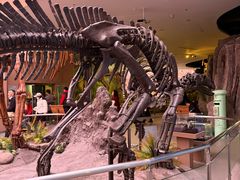 -陕西自然博物馆