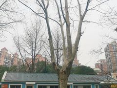 -华山儿童公园