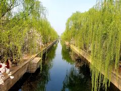 -海棠花溪(元大都城垣遗址公园)