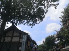 -成都蓝城悦杏温泉美食酒店(宽窄巷子店)