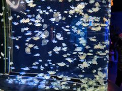 -太平洋海底世界