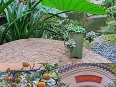 -南山植物园