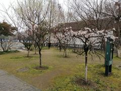 -南通博物苑-崇川人民公园