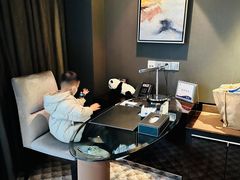 -常州环球恐龙城维景国际大酒店