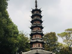 -上海佘山国家森林公园西佘山园